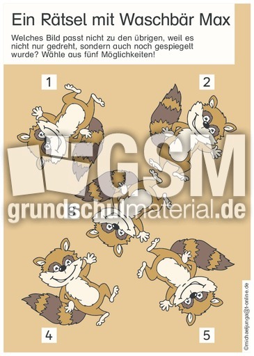 09-06 Waschbär Max.pdf